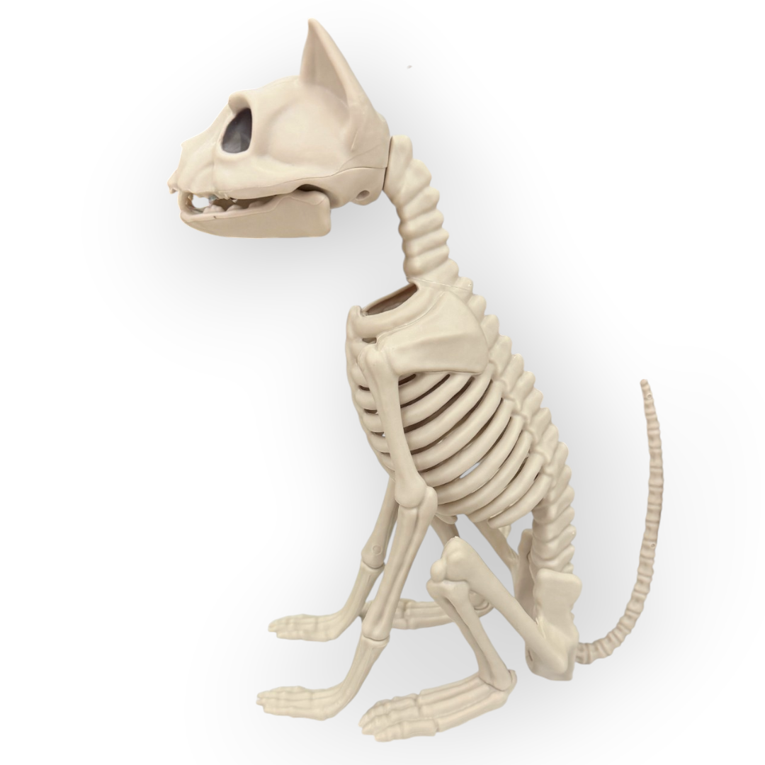 Figura Decorativa Gato Esqueleto Halloween y Día de Muertos